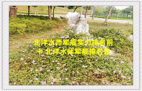 北洋水师军舰实力排名前十 北洋水师军舰排名表